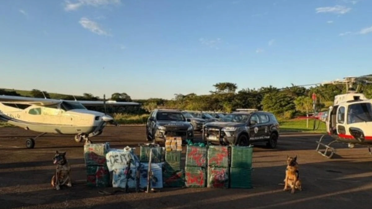 Mais de 500 kg de drogas foram apreendidos