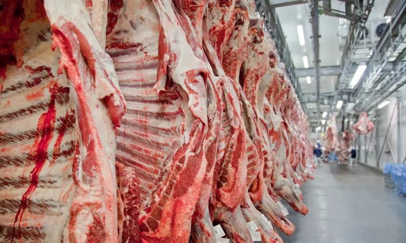 A decisão da União Europeia anunciada nesta terça-feira (12) gerou preocupação no agronegócio brasileiro 🇧🇷