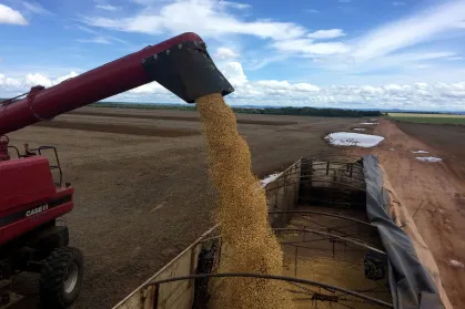 O Brasil é líder mundial na exportação de alimentos — mas o preço segue pesando no bolso do consumidor.